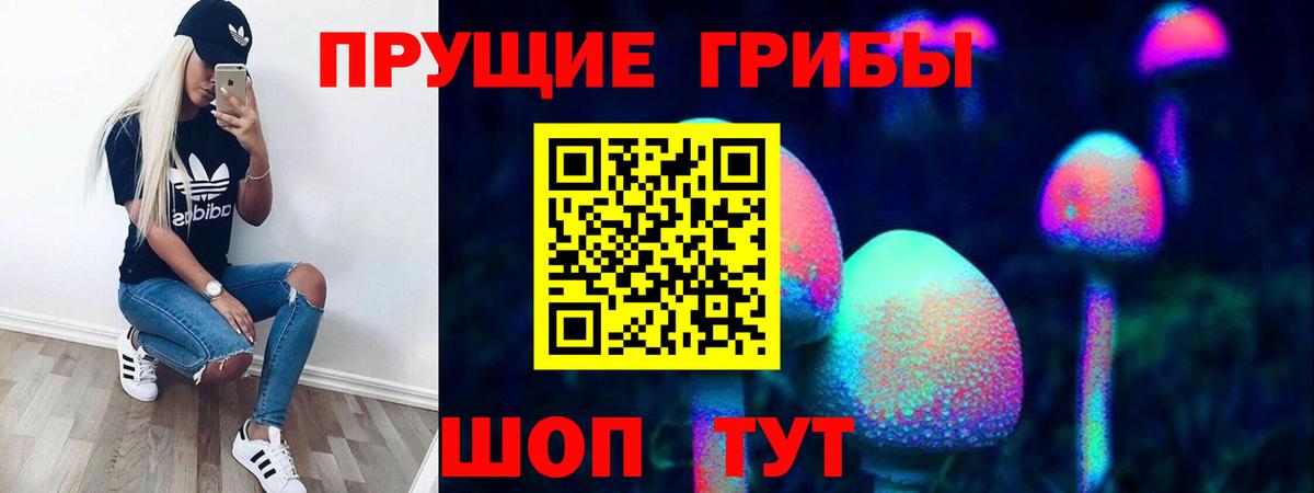 Псилоцибиновые грибы Magic Shrooms  Вход с VPN  Ливны 